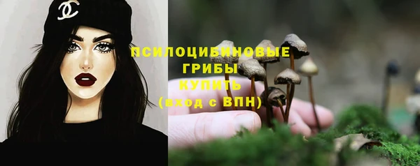 не бодяженный Белокуриха