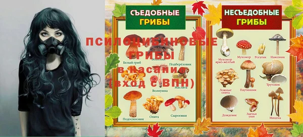 не бодяженный Белокуриха